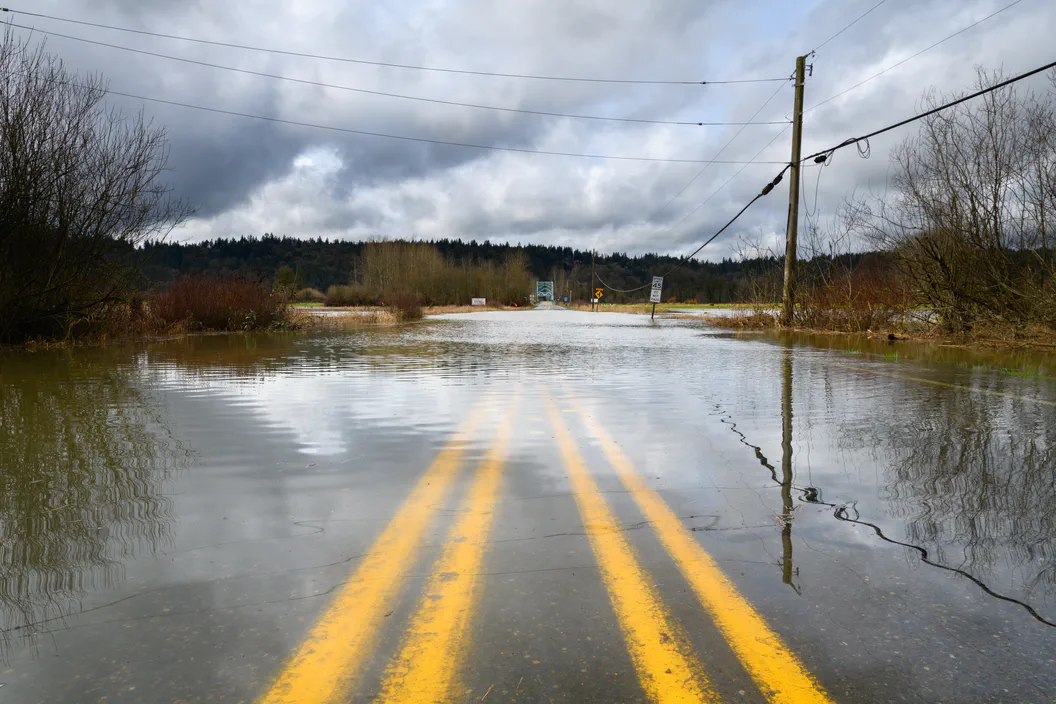 MUDDY FLOODWATERS